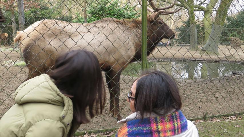 Wunschfahrt zum Tierpark Hagenbeck Wunschfahrt zum Tierpark Hagenbeck