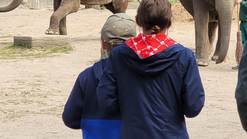 Wunschfahrt zum Tierpark Hagenbeck Wunschfahrt zum Tierpark Hagenbeck