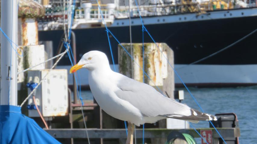 Wunschfahrt nach Travemünde Wunschfahrt nach Travemünde